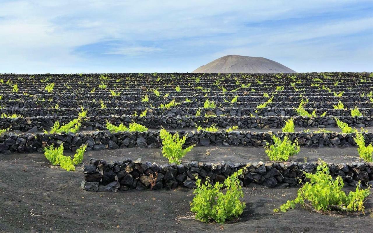 Villa Carmen Lanzarote 코스타 테기세 외부 사진